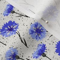 (S) cornflowers black and white with blue