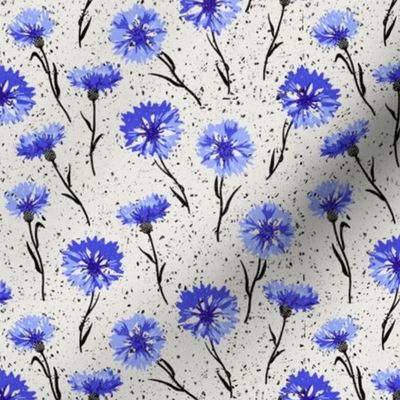 (S) cornflowers black and white with blue