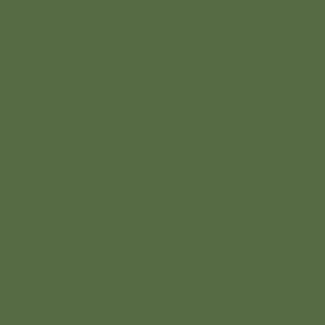 Solid muted fern green 566b43
