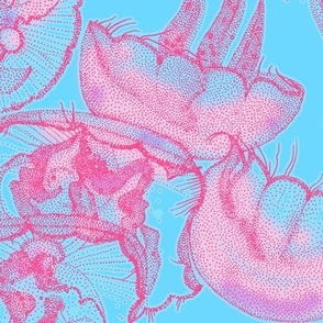 moon jellyfish pink blue dopamine large
