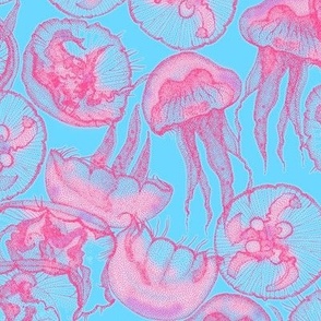 moon jellyfish pink blue dopamine