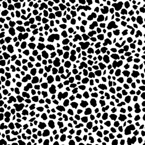 Black and White Animal Print painted spots by Jac Slade