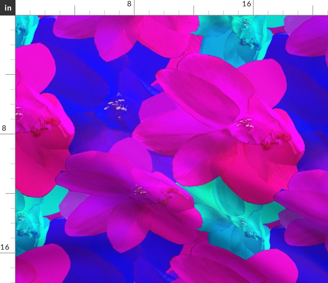 Pink Christmas Cactus / Blue Christmas Cactus / Floral Photography / Large Scale
