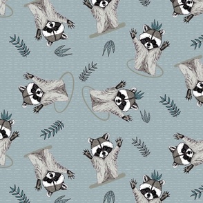 (M) Jolly Playful Raccoons Grey
