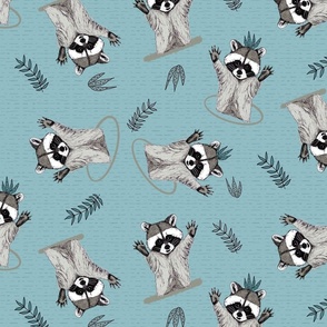 (M) Jolly Playful Raccoons in Turquoise
