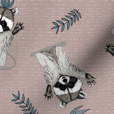 (M) Jolly Playful Raccoons in Sand Brown