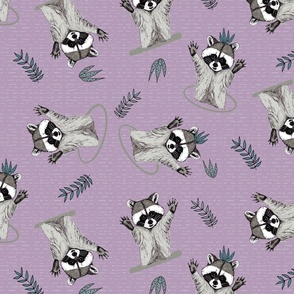 (M) Jolly Playful Raccoons Light Purple