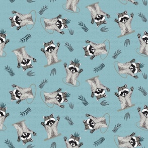 (S) Jolly Playful Raccoons in Turquoise
