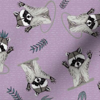 (S) Jolly Playful Raccoons in Light Purple