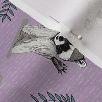 (S) Jolly Playful Raccoons in Light Purple