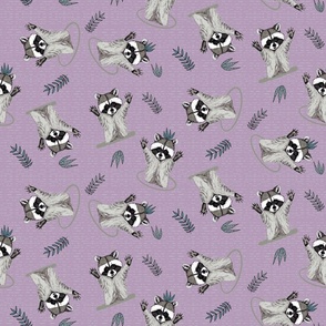 (S) Jolly Playful Raccoons in Light Purple