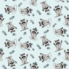 (S) Jolly Playful Raccoons in Light blue