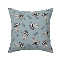 (S) Jolly Playful Raccoons in Grey