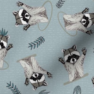 (S) Jolly Playful Raccoons in Grey