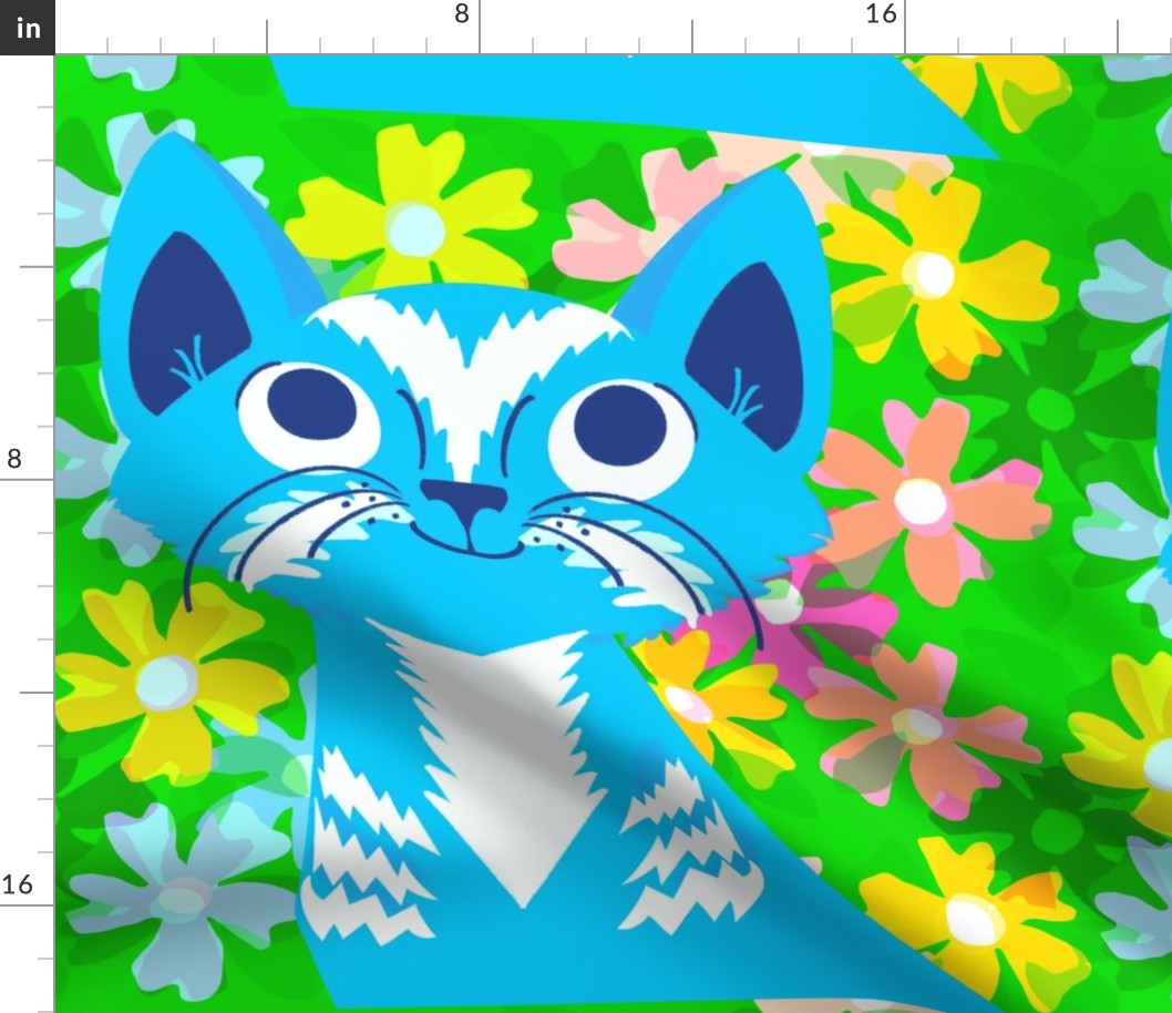 10k blue cat flowers