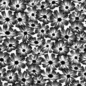 Cosmos flower garden in black and white. Large scale