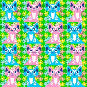 10k flower cats quad pink blue