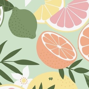 Tropical Citrus Fruits on cucumber green - large scale by Cecca Designs