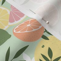 Tropical Citrus Fruits on cucumber green - medium scale by Cecca Designs