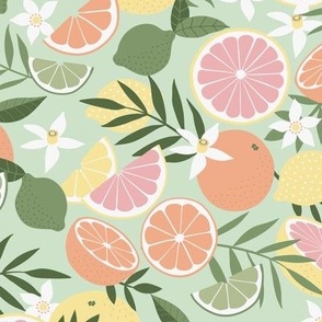 Tropical Citrus Fruits on cucumber green - medium scale by Cecca Designs
