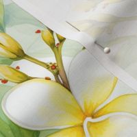 Hawaiian Tropics Plumeria Flowers