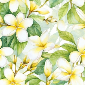 Hawaiian Tropics Plumeria Flowers