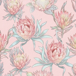 Watercolor Protea on Pink