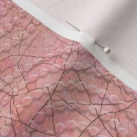 Mother of Pearl Spiral Emboss Texture - salmon pink shade.