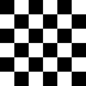 Bold Checker | Small Scale | Black and white