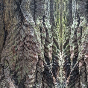 Redwood texture 3