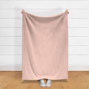 blush  pink solid plain color