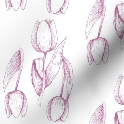 Tulips - Spring Violet