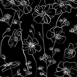 Wild Roses Flowers Black and White
