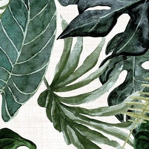 Jumbo / Oasis Palms - Tropical Leaves and Greenery