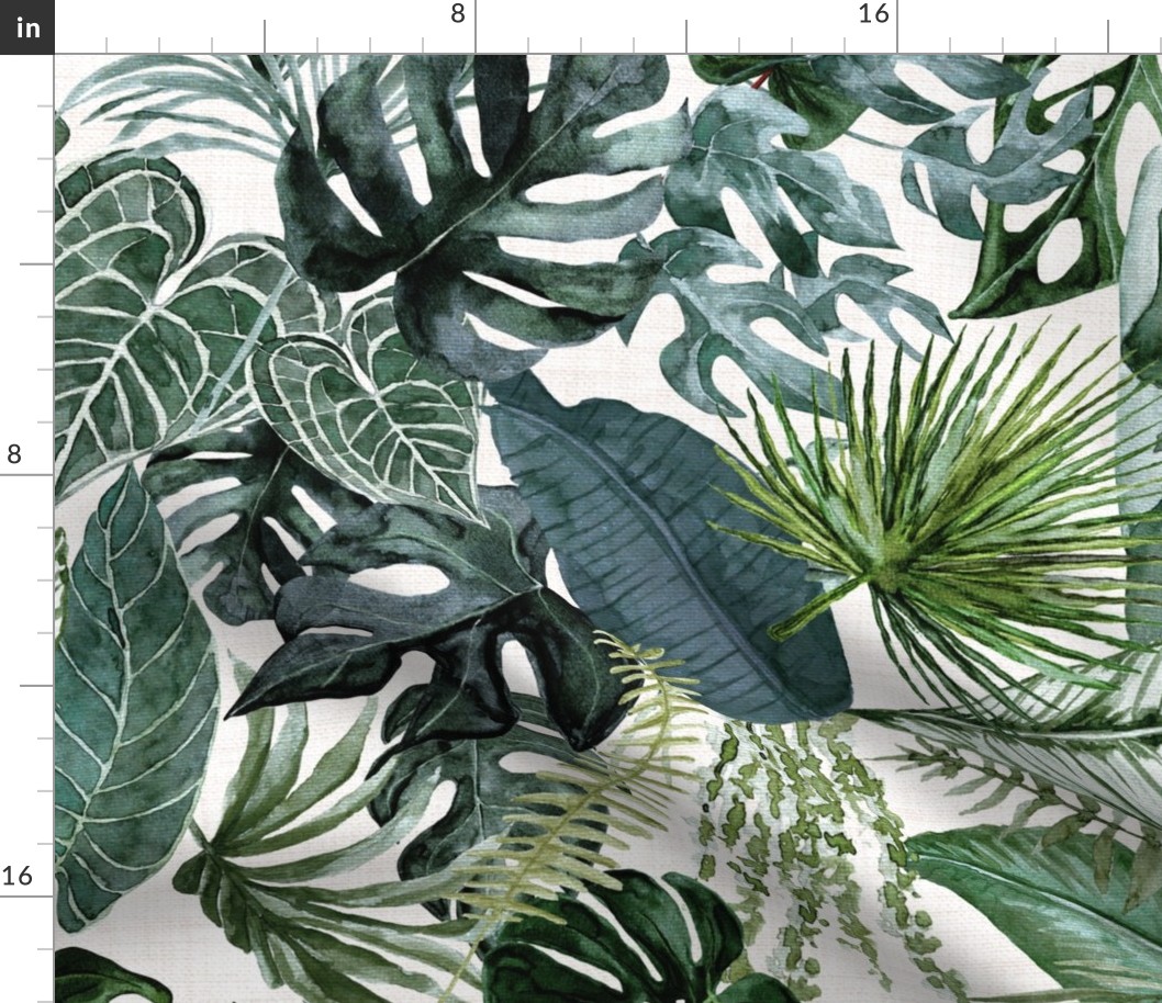 Jumbo / Oasis Palms - Tropical Leaves and Greenery