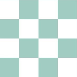 2” Checkers, Aqua and White