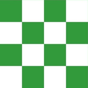 2” Checkers, Kelly Green and White