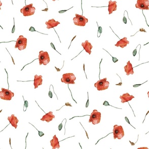 Poppy Flowers Growing | Wheats Meadow Red Orange Green | Watercolor | Large