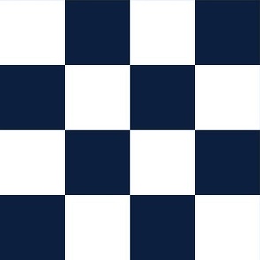 2” Checkers, Navy Blue and White