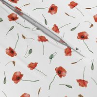 Poppy Flowers Growing | Wheats Meadow Red Orange Green | Watercolor | Medium