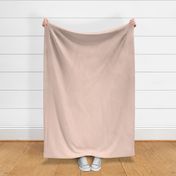 Plain Blush Light Pink Solid Color in Fabric and Wallpaper