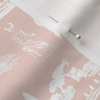 Lacey Pink Toile Versailles
