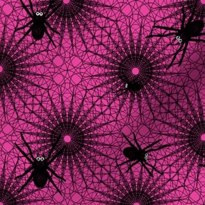 Neon Shocking Pink Black Spiders Family Lace Web