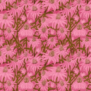 Coneflower Garden with Pink Background