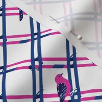 Songbird Serenade on Pink and Navy Lattice