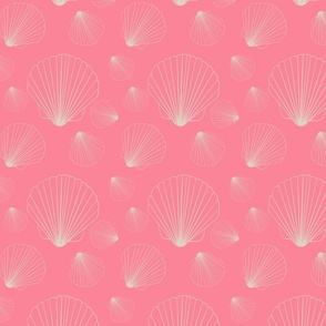 Fan Sea Shell - Sweet Pink
