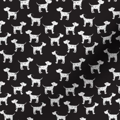 Dalmatian Dogs on Black- X-Small Print