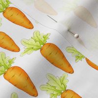 Small  Easter Watercolor Carrots  On White