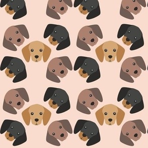 dachshunds heads on pale pink ground