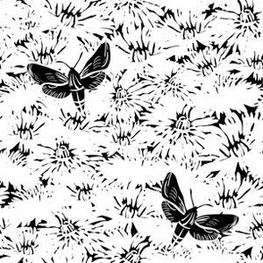 Moths on flowers in black and white. Small scale